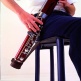 B06 - BASSOON LEATHER SEAT