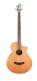 Solo Bass CW LR Baggs - Occasion