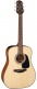 Pack Gld12Ens 12 Dreadnought Pica-Acajou