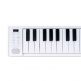 PIANO 49 TOUCH WHITE