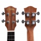 Hh 2026 Soprano Acajou