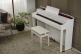 AP-300 White + Accessories