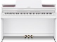 AP-550 White + Accessories
