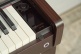 AP-750 Brun