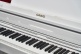 AP-750 White