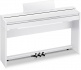 AP-S250 White + Accessories