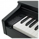 PACK AP-270 BK CELVIANO