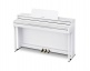 AP-550 White + Accessories