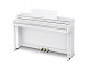 AP-550 WHITE