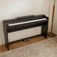 AP-S200 Brun