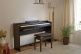 AP-S200 Brun