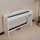 AP-S200 WHITE
