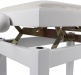 CLP 835 white and his bench