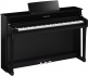 CLP-835 POLISHED EBONY