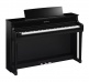 CLP-845 POLISHED EBONY