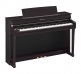 CLP-845 ROSEWOOD