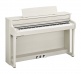 CLP-845 WHITE BIRCH - BLAGER