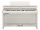 CLP-845 Bouleau Blanc - STOCK B