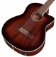 C4-Ce Charcoal Burst Electro Cw Charcoal Burst