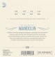 EJ62 80/20 BRONZE MANDOLIN STRINGS LIGHT 10-34
