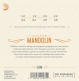EJ80 Cordes pour Mandoline Medium 12-46