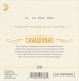 ROPES FOR CAVAQUINHO EJ93 D'ADDARIO