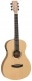 DISCOVERY DBT PE HR GUITARE PARLOUR