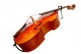 DB-1 - Micro Piezo Contrebasse
