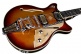 Signature Series Joe Walsh Gold Burst New 2015