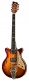 Signature Series Joe Walsh Gold Burst New 2015