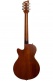 Starplayer CBR Transparent Honey + Case