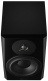 LYD-8 Black