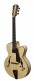 AR880CE-BD Blonde