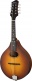 PCH-M104-GB Goldburst