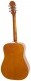 Dove Studio Violinburst
