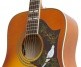 Dove Studio Violinburst