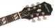Dove Studio Violinburst