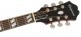 Hummingbird Studio Faded Cherry Sunburst Ibgcs