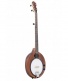 Eb-5 Electric Banjo 5-Str+Bag