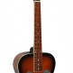 PBR Paul Beard Signat.rnd Nck+case