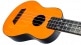 TUS35 ABS TRAVEL UKULELE - ORANGE