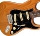 AMERICAN PROFESSIONAL II STRATOCASTER RW, ROASTED PINE