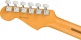 Stratocaster American Professional II RW Roasted Pine