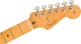 Stratocaster American Professional II Mn Roasted Pine