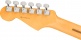 Stratocaster American Professional II Mn Roasted Pine
