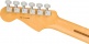 Stratocaster HSS American Professional II MN Roasted Pine
