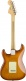 Stratocaster American Performer Rw Honey Burst