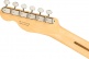 Telecaster American Performer RW Honey Burst - STOCK B