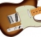 AMERICAN ULTRA TELECASTER MN, MOCHA BURST