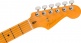 Stratocaster American Ultra II Mn Avalanche